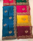 Paisley Corner Saree With Border