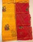 Floral Border Rich Saree